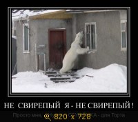 Юмор, Прикольные Демотиваторы, картинка 831710.jpg