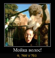 Юмор, Прикольные Демотиваторы, картинка 831714.jpg