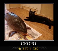 Юмор, Прикольные Демотиваторы, картинка 832086.jpg