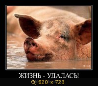 Юмор, Прикольные Демотиваторы, картинка 832094.jpg
