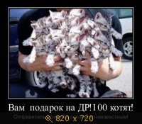 Юмор, Прикольные Демотиваторы, картинка 832115.jpg