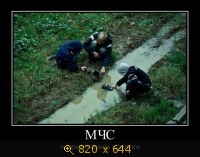 Юмор, Прикольные Демотиваторы, картинка 832136.jpg