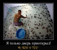 Юмор, Прикольные Демотиваторы, картинка 832138.jpg