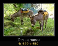 Юмор, Прикольные Демотиваторы, картинка 832167.jpg