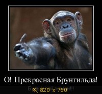 Юмор, Прикольные Демотиваторы, картинка 832170.jpg