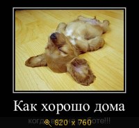 Юмор, Прикольные Демотиваторы, картинка 832172.jpg