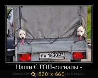 Юмор, Прикольные Демотиваторы, картинка 832178.jpg