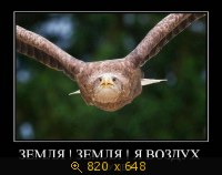 Юмор, Прикольные Демотиваторы, картинка 833303.jpg