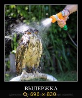 Юмор, Прикольные Демотиваторы, картинка 833304.jpg