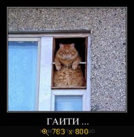 Юмор, Прикольные Демотиваторы, картинка 833333.jpg