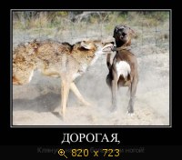 Юмор, Прикольные Демотиваторы, картинка 833667.jpg
