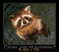 Юмор, Прикольные Демотиваторы, картинка 833732.jpg