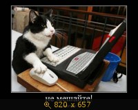 Юмор, Прикольные Демотиваторы, картинка 834607.jpg