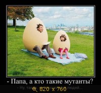 Юмор, Прикольные Демотиваторы, картинка 834613.jpg