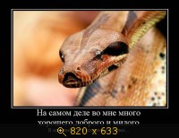 Юмор, Прикольные Демотиваторы, картинка 834616.jpg
