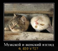 Юмор, Прикольные Демотиваторы, картинка 834689.jpg