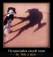 Юмор, Прикольные Демотиваторы, картинка 845486.jpg