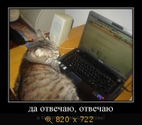 Юмор, Прикольные Демотиваторы, картинка 845533.jpg