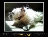 Юмор, Прикольные Демотиваторы, картинка 846737.jpg