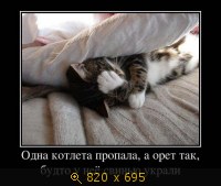 Юмор, Прикольные Демотиваторы, картинка 846742.jpg