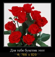 Юмор, Прикольные Демотиваторы, картинка 846751.jpg