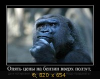 Юмор, Прикольные Демотиваторы, картинка 847518.jpg