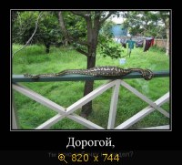 Юмор, Прикольные Демотиваторы, картинка 850293.jpg