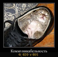 Юмор, Прикольные Демотиваторы, картинка 850310.jpg