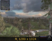896856.jpg