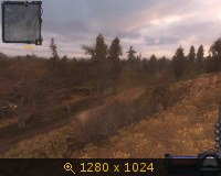 896862.jpg