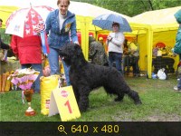 Животные, картинка 905318.jpg
