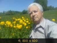 С купальницами