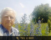 Синяк