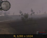 939598.jpg