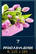 0232-07