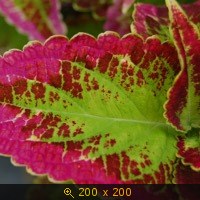 5-06