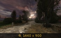 1172232.jpg