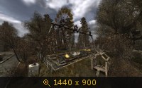 1172241.jpg