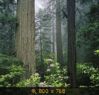 лето 24