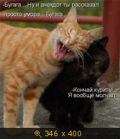 Весёлые