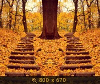 осень 100