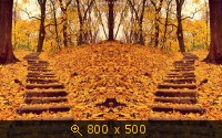 осень 101