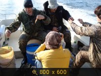 Море, морское, картинка 1275134.jpg