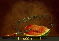 Обои, рабочий стол, 45, картинка 130061.jpg