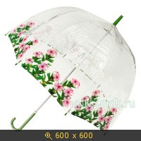 зонты, картинка 1298134.jpg