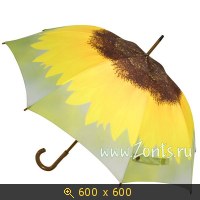 зонты, картинка 1298169.jpg