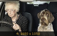 Прикольные обои