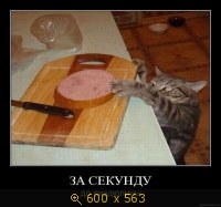 Юмор, Юмор, картинка 1385143.jpg
