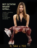 Вот остатки вашей шубы