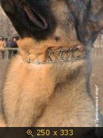 http://4put.ru/pictures/small/464/1426579.jpg